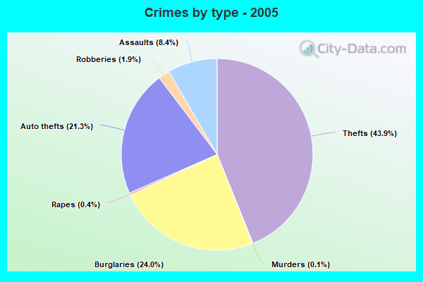 Crimes by type - 2005