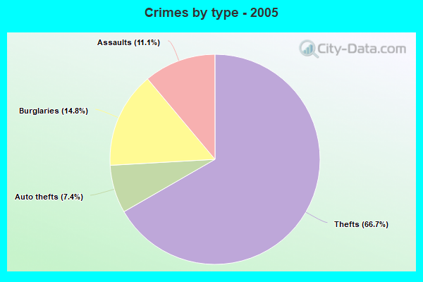 Crimes by type - 2005