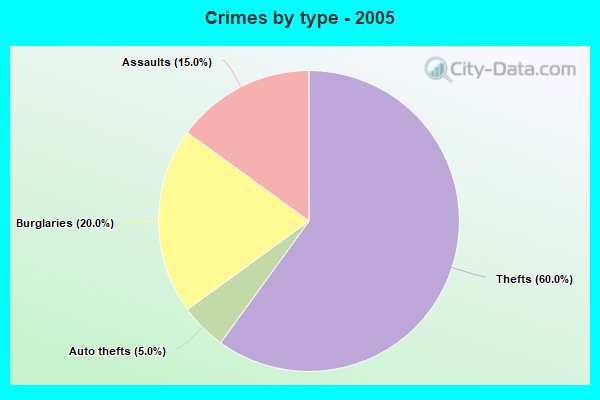 Crimes by type - 2005