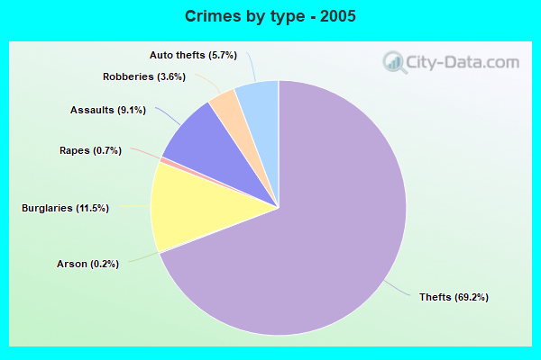 Crimes by type - 2005