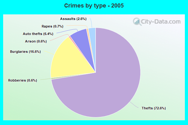 Crimes by type - 2005