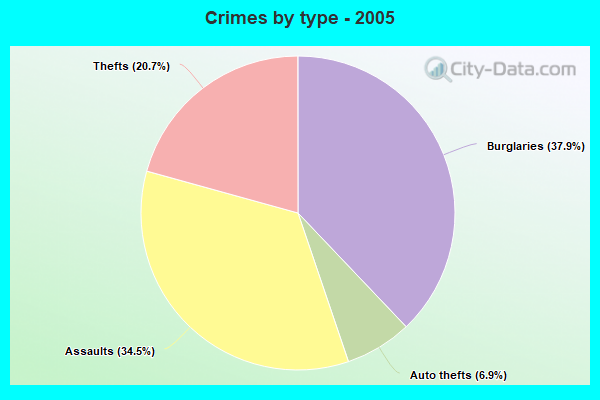 Crimes by type - 2005