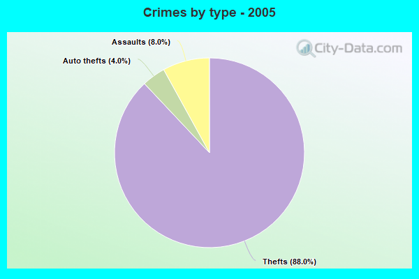 Crimes by type - 2005