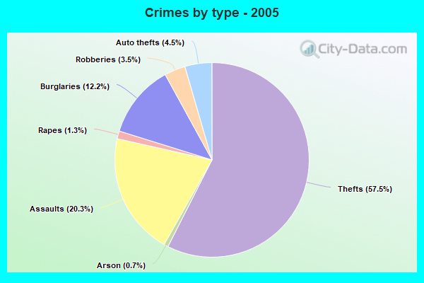 Crimes by type - 2005