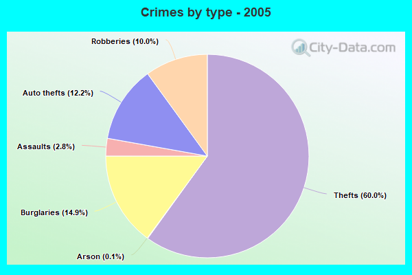 Crimes by type - 2005