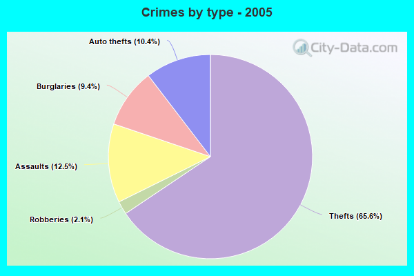 Crimes by type - 2005