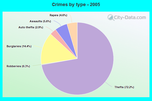 Crimes by type - 2005