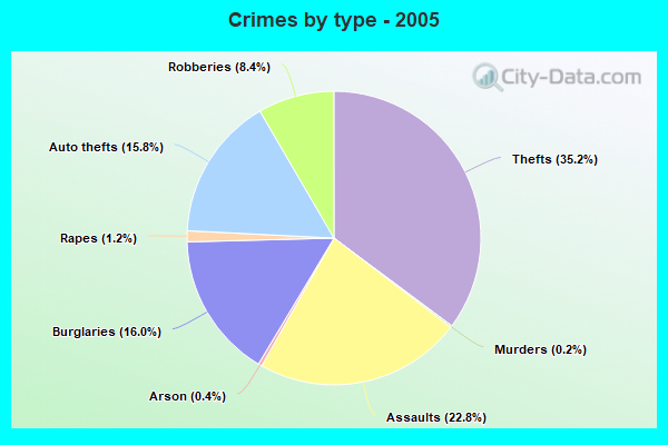 Crimes by type - 2005