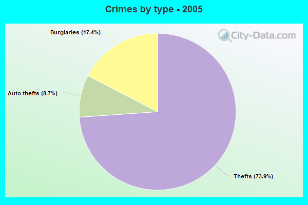 Crimes by type - 2005