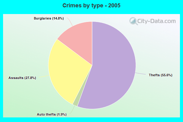 Crimes by type - 2005