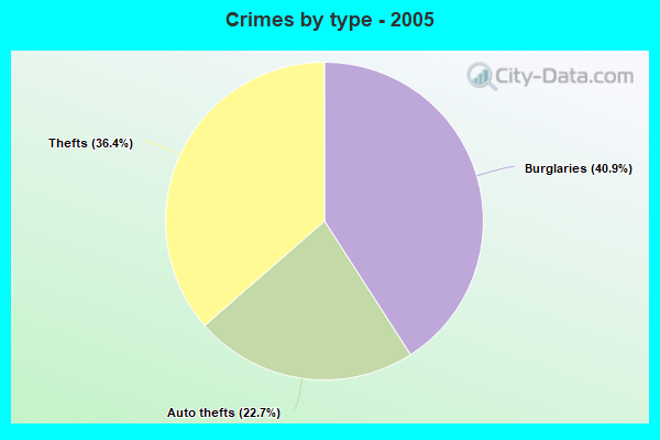 Crimes by type - 2005