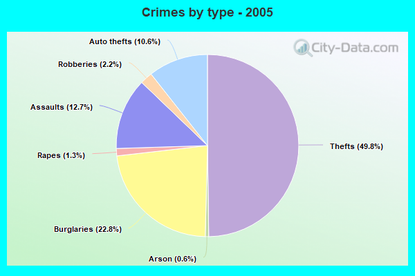 Crimes by type - 2005