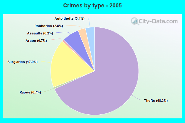 Crimes by type - 2005