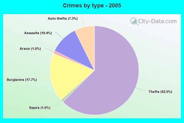 Crimes by type - 2005