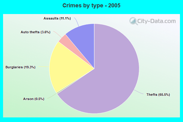 Crimes by type - 2005