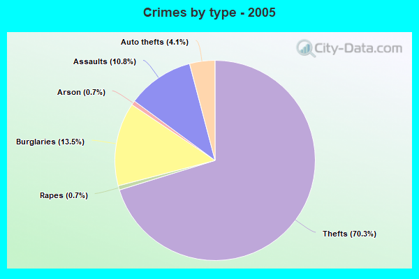 Crimes by type - 2005