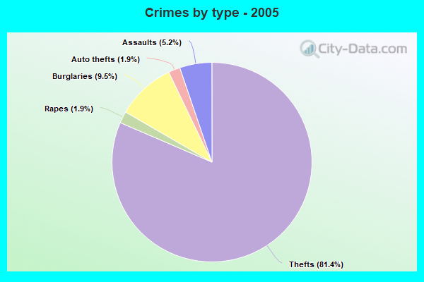 Crimes by type - 2005