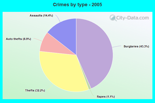 Crimes by type - 2005