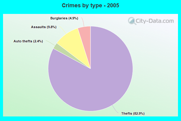 Crimes by type - 2005