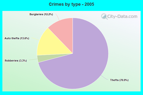 Crimes by type - 2005