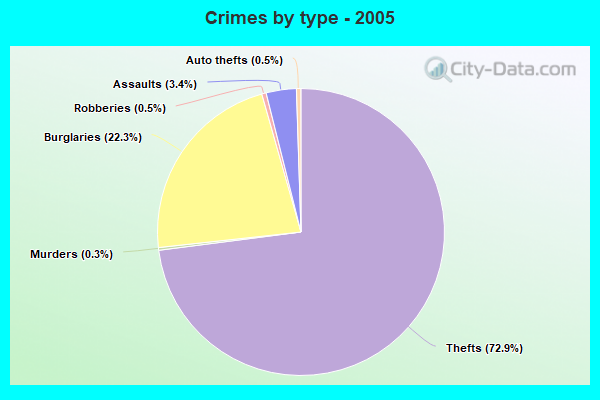 Crimes by type - 2005