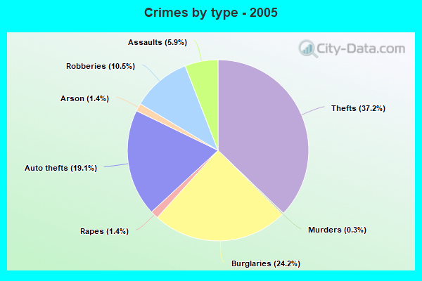 Crimes by type - 2005