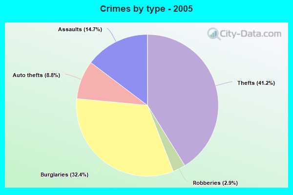 Crimes by type - 2005