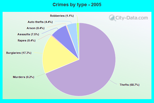 Crimes by type - 2005