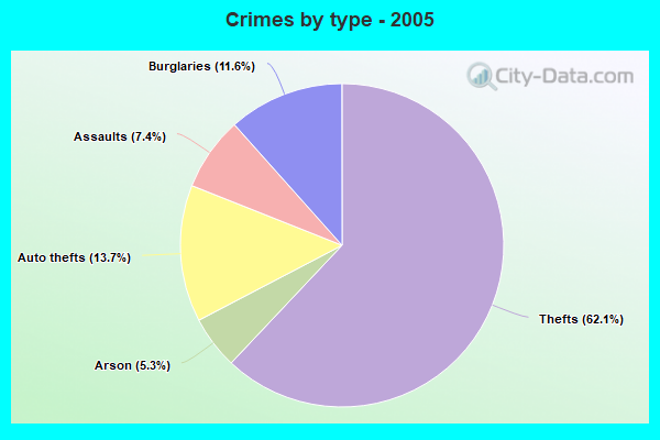 Crimes by type - 2005