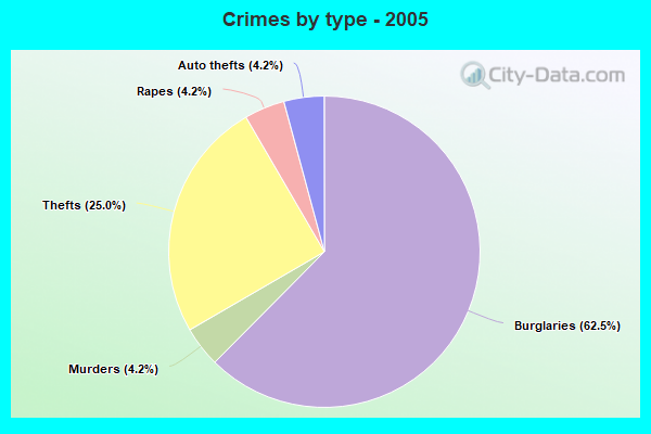 Crimes by type - 2005