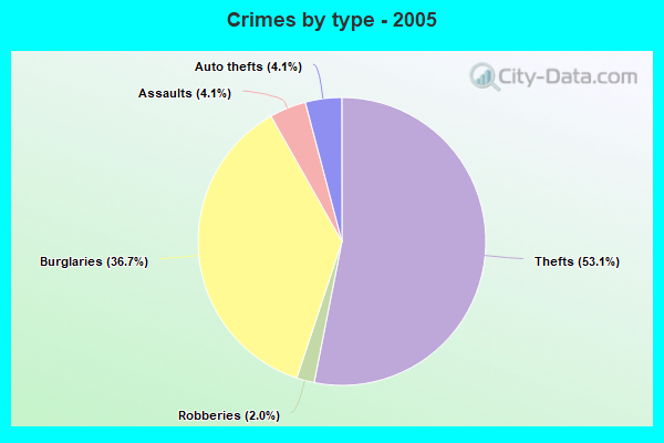 Crimes by type - 2005