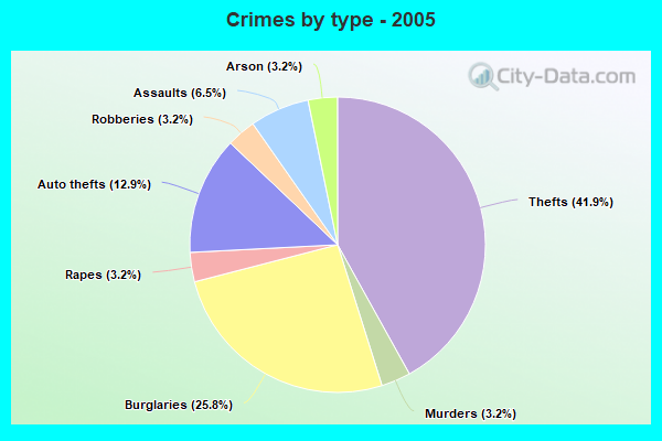 Crimes by type - 2005