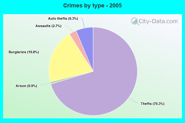 Crimes by type - 2005