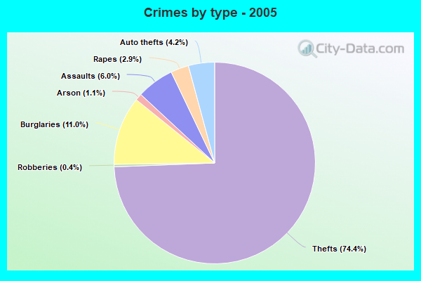 Crimes by type - 2005