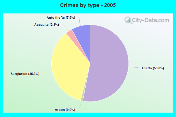 Crimes by type - 2005