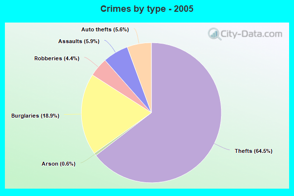 Crimes by type - 2005