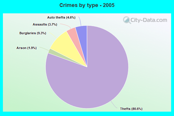 Crimes by type - 2005