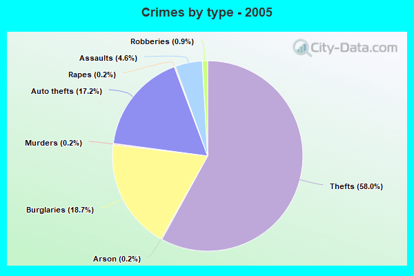 Crimes by type - 2005