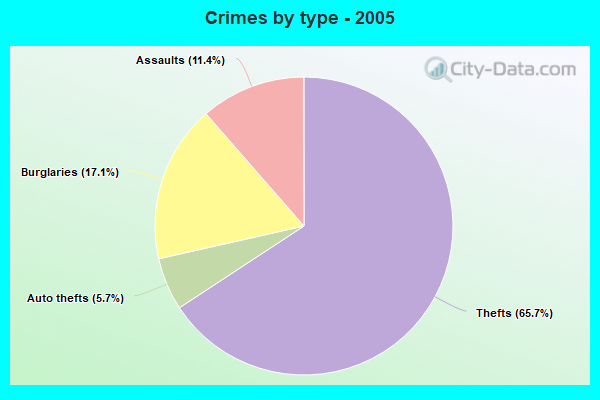 Crimes by type - 2005