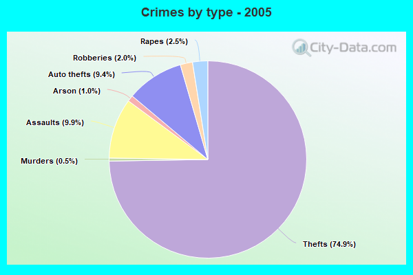 Crimes by type - 2005