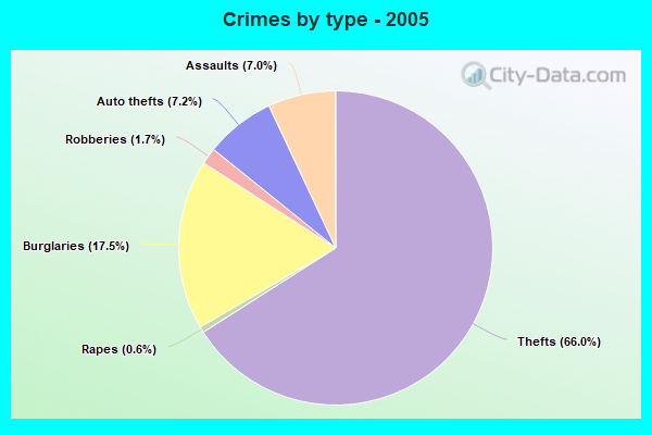 Crimes by type - 2005