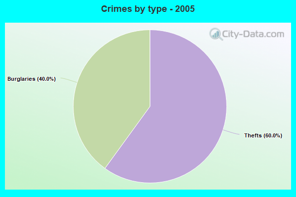 Crimes by type - 2005