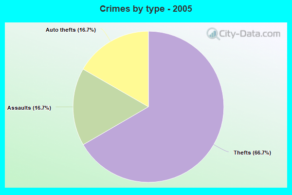 Crimes by type - 2005