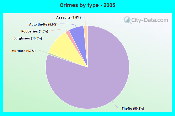 Crimes by type - 2005