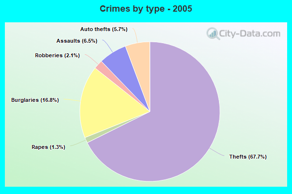 Crimes by type - 2005