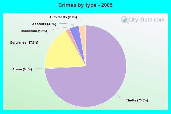 Crimes by type - 2005