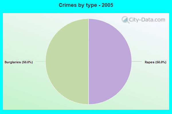 Crimes by type - 2005