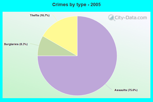 Crimes by type - 2005