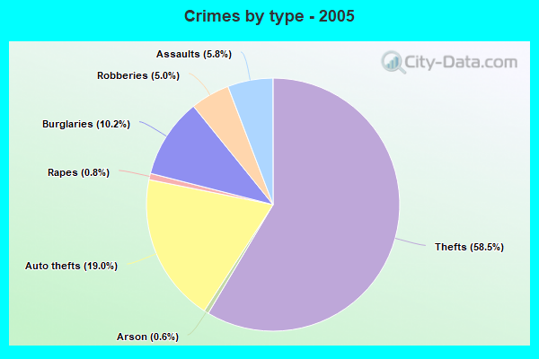 Crimes by type - 2005