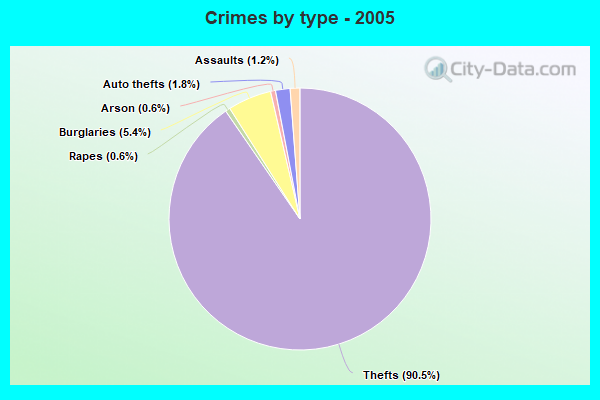 Crimes by type - 2005